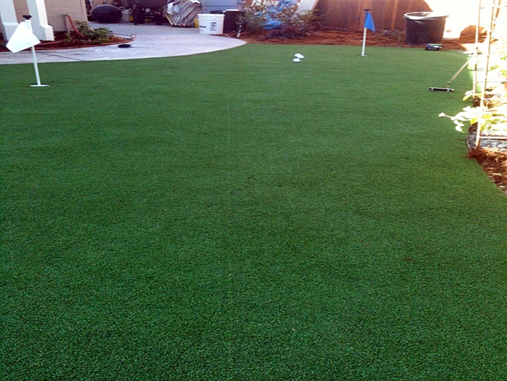 Green Lawn Foster City, California Landscape Design, Backyard Landscape Ideas