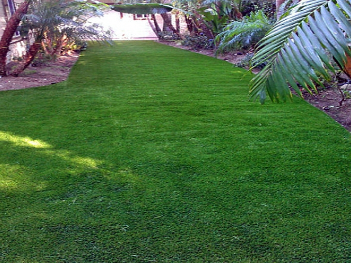 Green Lawn Hartley, California Roof Top, Backyards