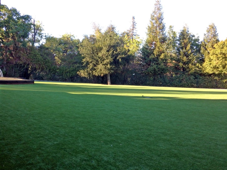 Green Lawn Santa Rosa, California Lawn And Landscape, Parks