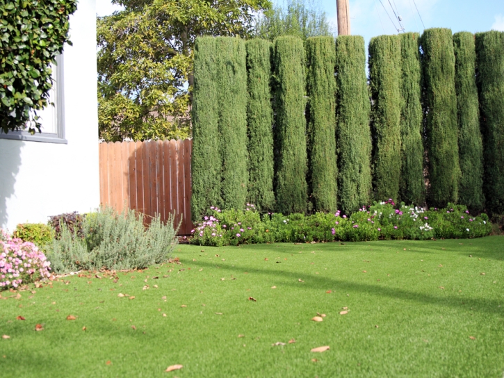 Green Lawn Sebastopol, California Lawn And Landscape, Front Yard Design