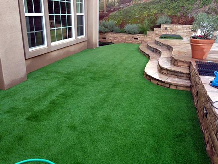 Green Lawn Wilton, California Landscaping Business, Backyard