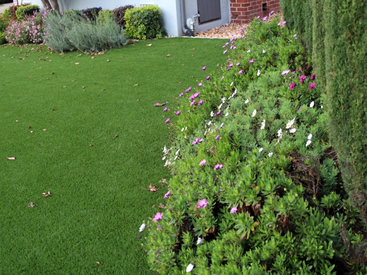 Green Lawn Winters, California Home And Garden, Small Front Yard Landscaping