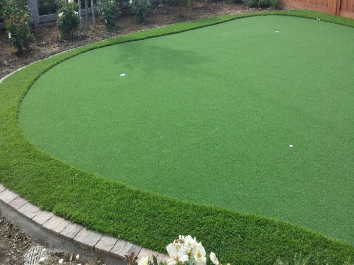 Green Lawn Woodbridge, California Lawn And Landscape, Backyard Designs