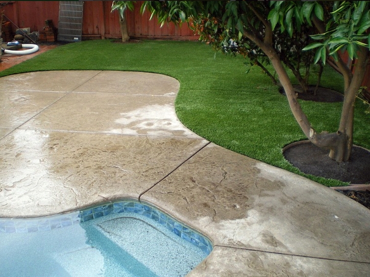 How To Install Artificial Grass Livermore, California Landscape Design, Backyard Landscape Ideas