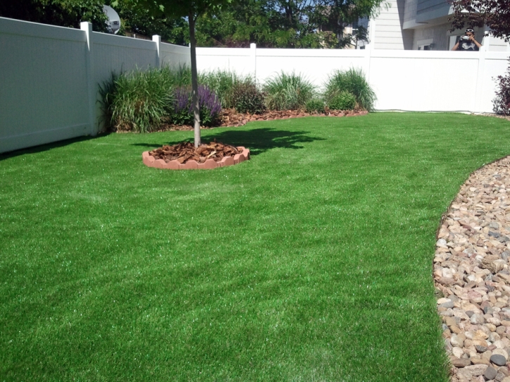 Installing Artificial Grass Hayward, California Landscape Photos, Backyard Landscape Ideas