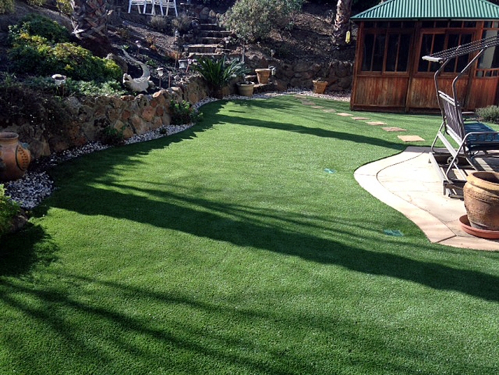 Installing Artificial Grass Linden, California Roof Top, Backyard Designs