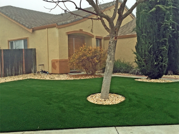 Installing Artificial Grass Lower Lake, California Home And Garden, Front Yard Landscaping Ideas