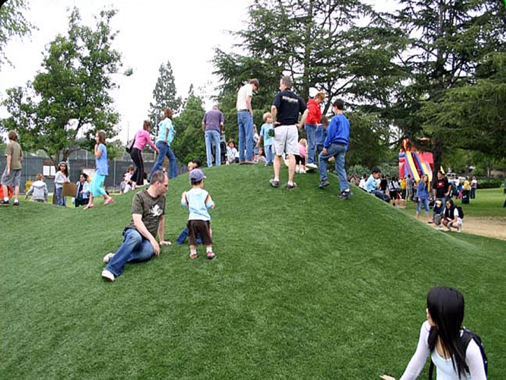 Installing Artificial Grass South Dos Palos, California Gardeners, Parks