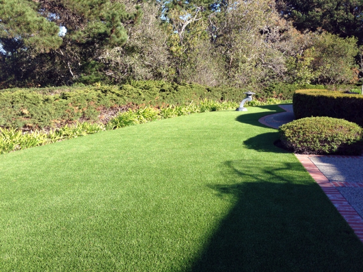 Lawn Services Galt, California Roof Top, Small Front Yard Landscaping