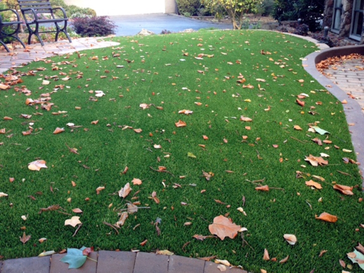 Lawn Services San Carlos, California Rooftop, Front Yard Ideas