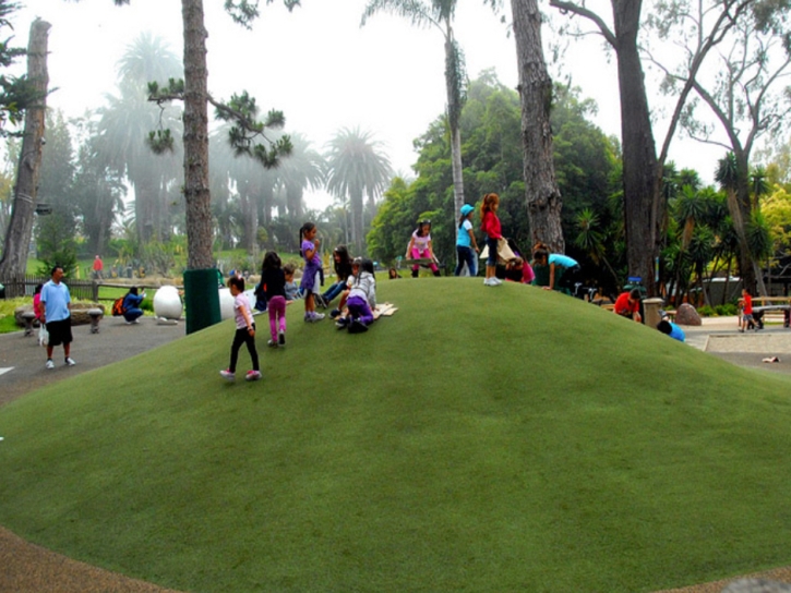 Outdoor Carpet Bay Point, California Roof Top, Recreational Areas