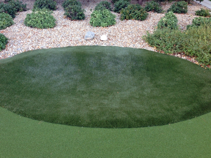 Outdoor Carpet Greenville, California Putting Green