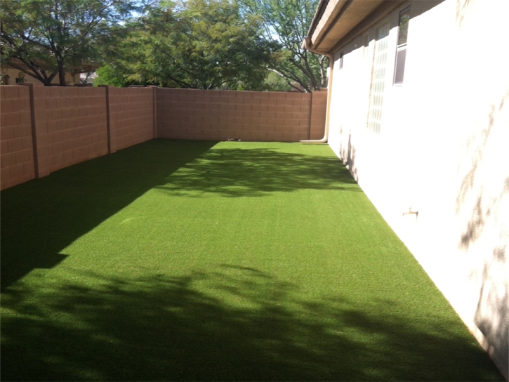 Outdoor Carpet Kingsburg, California Landscaping Business, Small Backyard Ideas