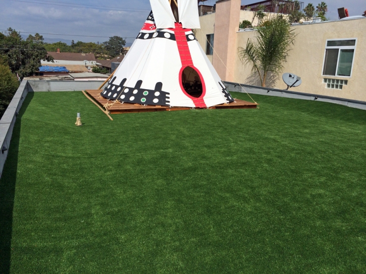 Outdoor Carpet Lafayette, California Garden Ideas, Patio