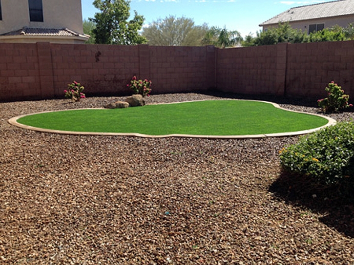 Outdoor Carpet Lincoln Village, California Landscape Ideas, Backyard Design