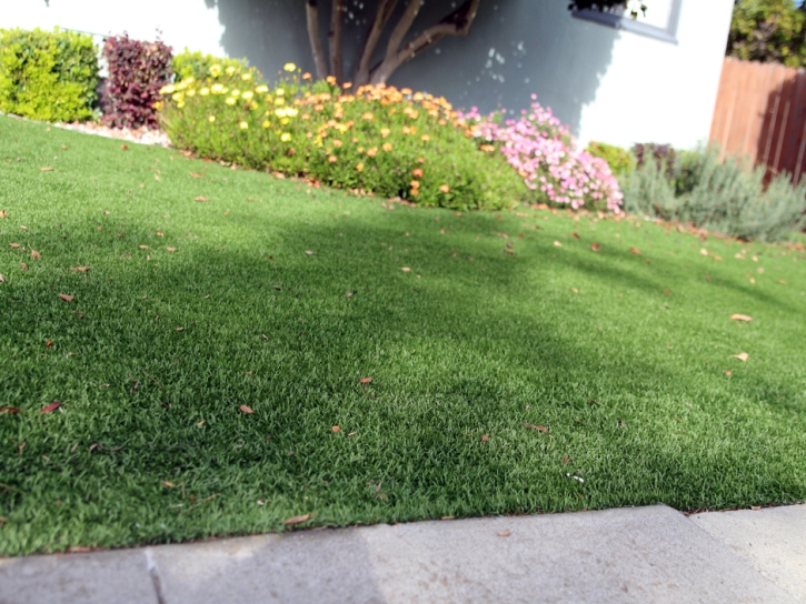 Outdoor Carpet Oakley, California Home And Garden, Front Yard Ideas