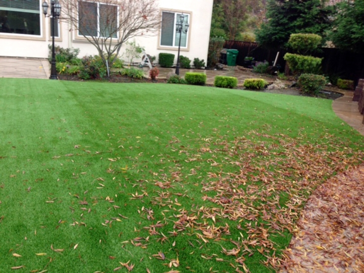 Outdoor Carpet Redwood Shores, California City Landscape, Beautiful Backyards