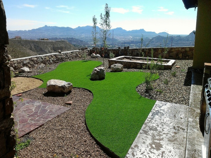 Outdoor Carpet Roseville, California City Landscape, Backyard Landscaping Ideas