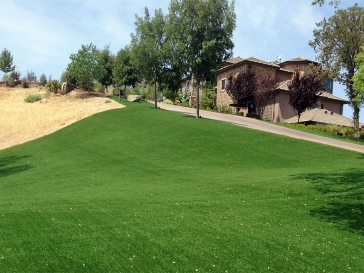 Outdoor Carpet Sebastopol, California Rooftop, Front Yard Landscape Ideas