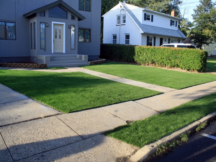 Outdoor Carpet Tamalpais-Homestead Valley, California Backyard Playground, Front Yard Landscape Ideas