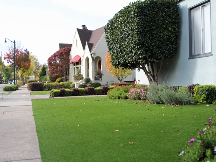 Outdoor Carpet Tracy, California Home And Garden, Front Yard Landscaping Ideas