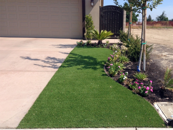 Plastic Grass Citrus Heights, California Landscape Photos, Front Yard Landscape Ideas