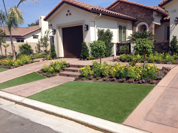 Plastic Grass Coalinga, California Design Ideas, Front Yard Landscape Ideas