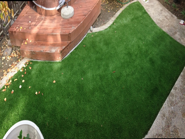 Plastic Grass Los Gatos, California Garden Ideas, Small Backyard Ideas