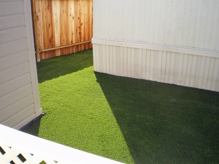 Plastic Grass Monte Sereno, California Artificial Grass For Dogs, Backyard Landscaping Ideas