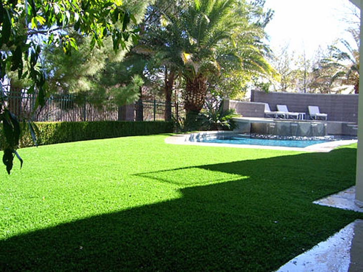 Plastic Grass Rancho Calaveras, California Landscape Ideas, Swimming Pools