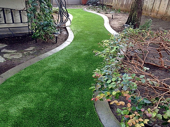 Plastic Grass Riverdale Park, California Landscape Rock, Backyard Designs