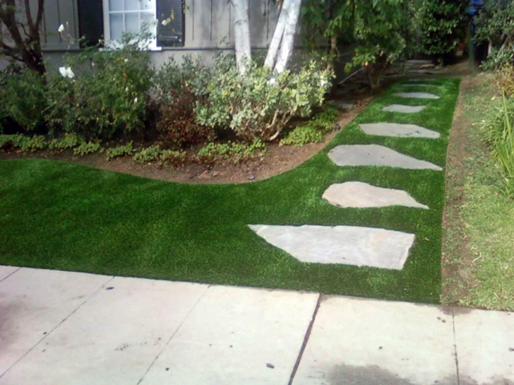 Plastic Grass San Bruno, California Landscape Design, Landscaping Ideas For Front Yard