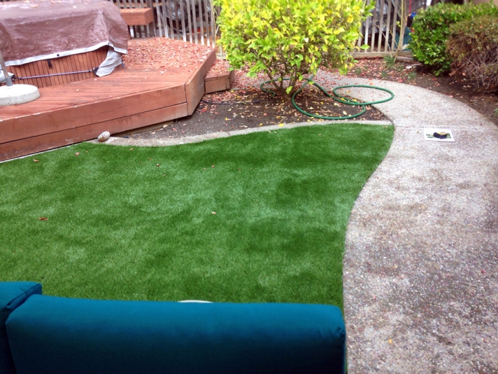 Plastic Grass Santa Clara, California Lawn And Garden, Backyard Garden Ideas