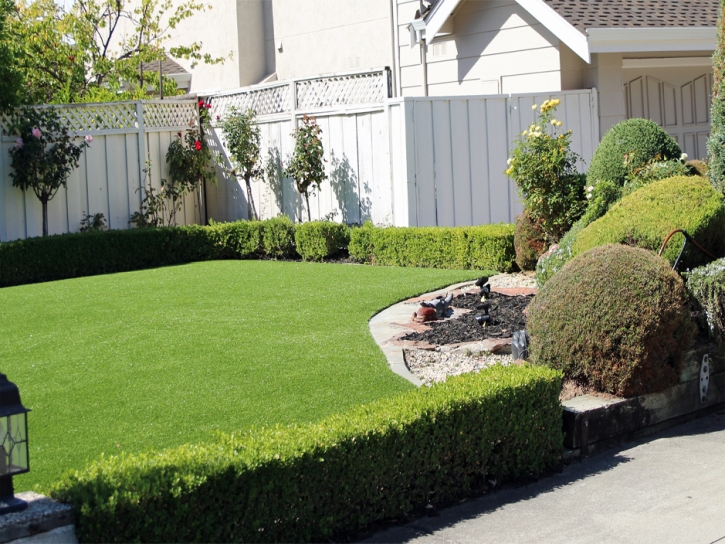 Plastic Grass Stanford, California Paver Patio, Front Yard Landscape Ideas