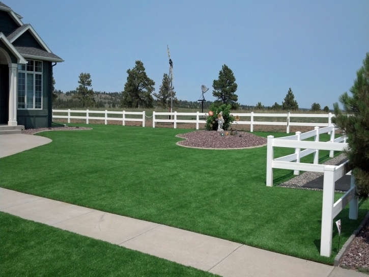 Synthetic Grass Arbuckle, California Paver Patio, Backyard