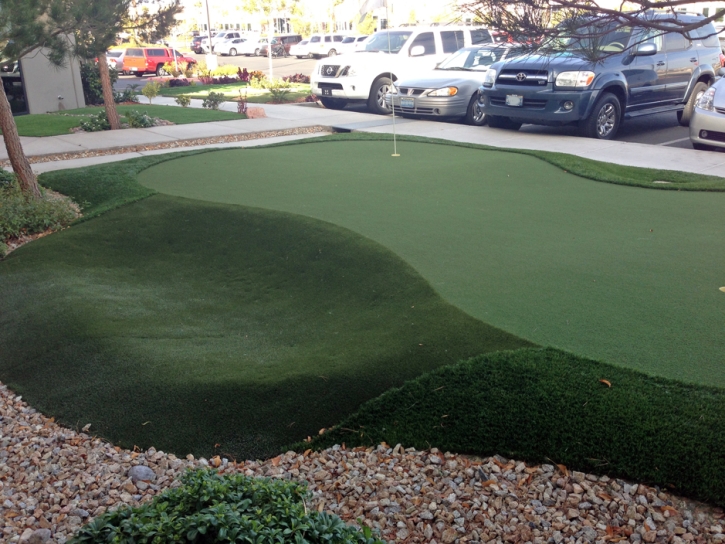 Synthetic Grass Brisbane, California Design Ideas, Commercial Landscape