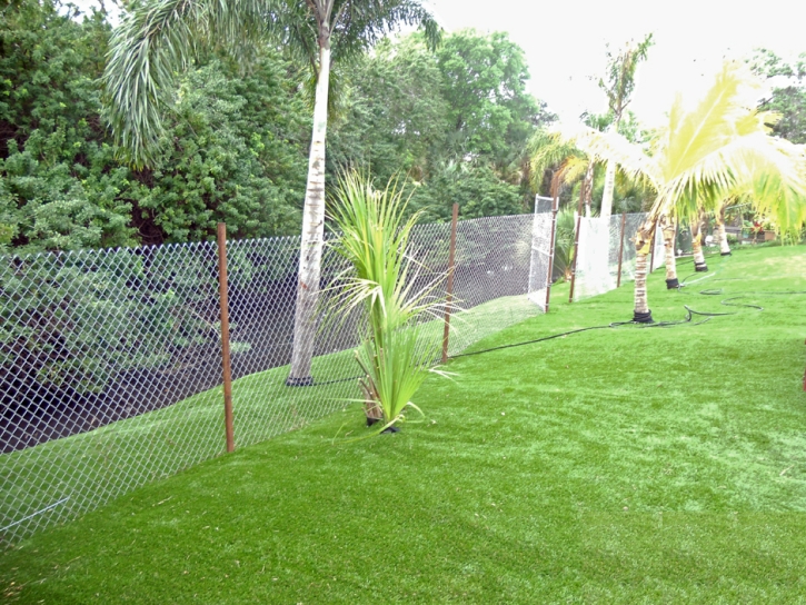 Synthetic Grass Cost Dogtown, California Gardeners, Beautiful Backyards