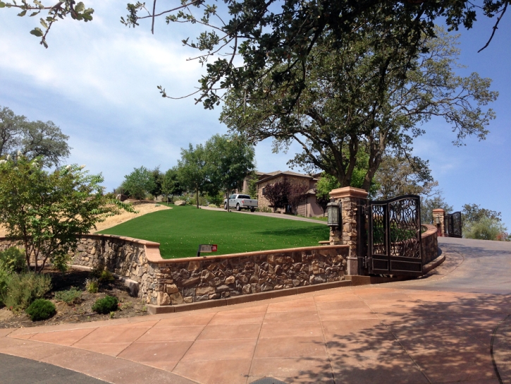 Synthetic Grass Cost Gerber, California Roof Top, Small Front Yard Landscaping