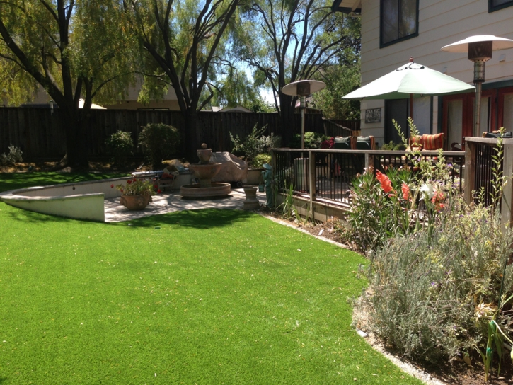 Synthetic Grass Cost Graton, California Gardeners, Backyards