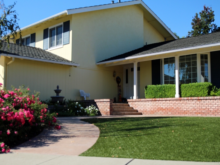 Synthetic Grass Cost Mariposa, California Roof Top, Front Yard Landscaping