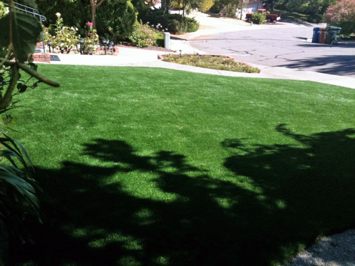 Synthetic Grass Cost Orinda, California Rooftop, Front Yard