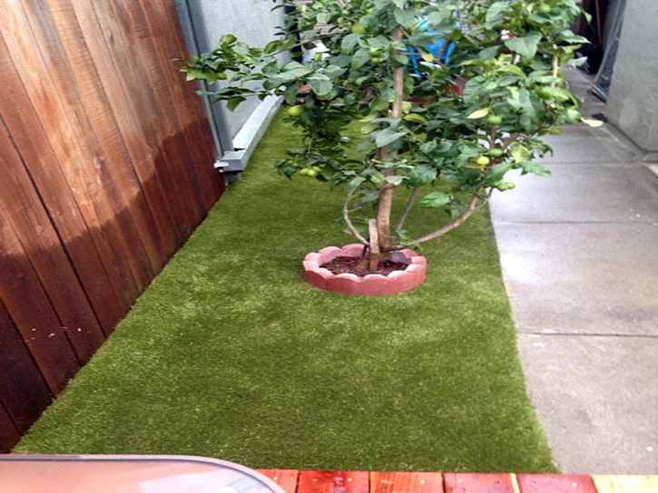 Synthetic Grass Cost West Sacramento, California Dog Run, Backyard Makeover