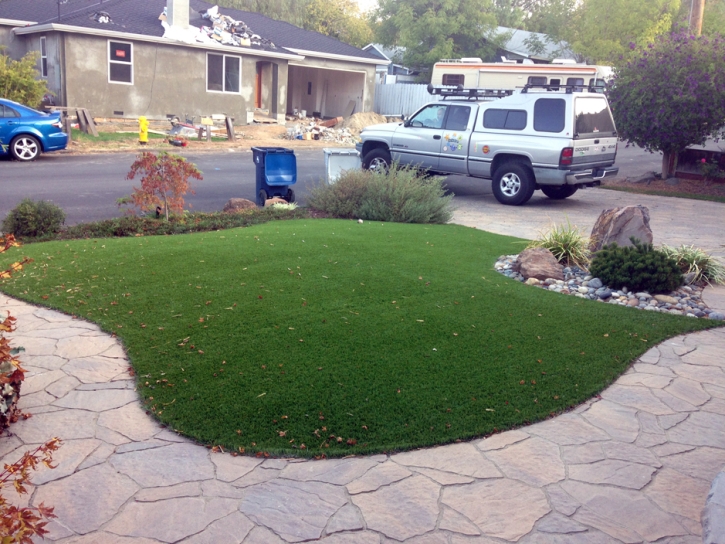 Synthetic Grass El Sobrante, California City Landscape, Small Front Yard Landscaping