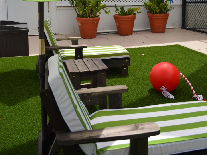 Synthetic Grass Gustine, California Landscape Ideas, Roof Top