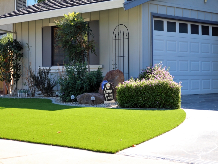 Synthetic Grass Hamilton City, California Garden Ideas, Front Yard Landscaping Ideas