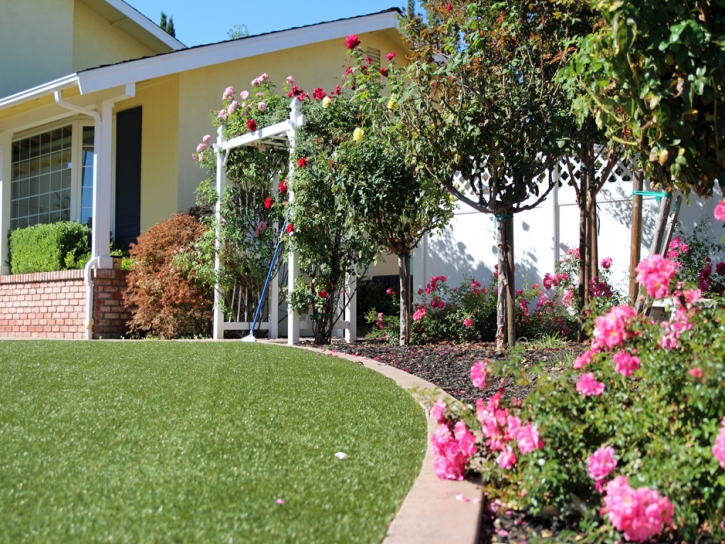 Synthetic Grass Oroville, California Lawn And Landscape, Front Yard Landscaping