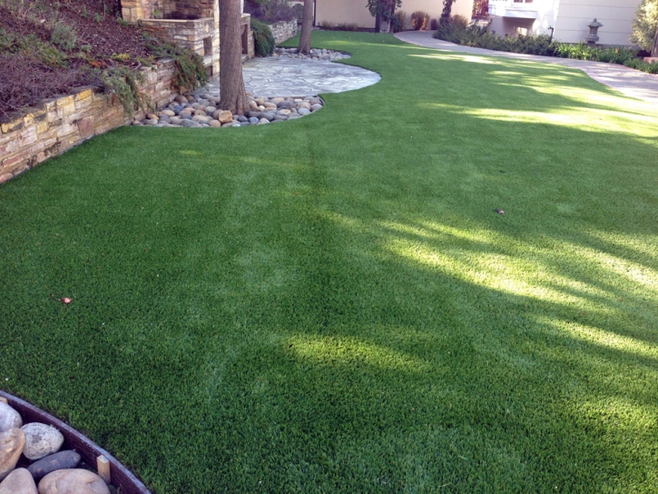 Synthetic Grass San Lorenzo, California Cat Grass, Backyards