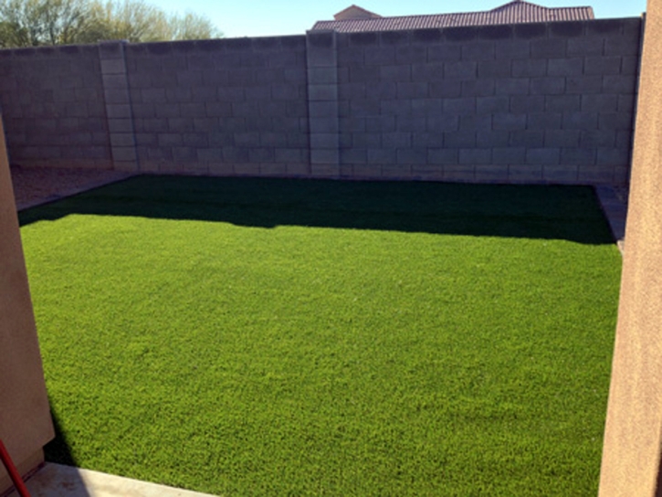 Synthetic Grass Walnut Grove, California Lawn And Garden, Backyard Designs