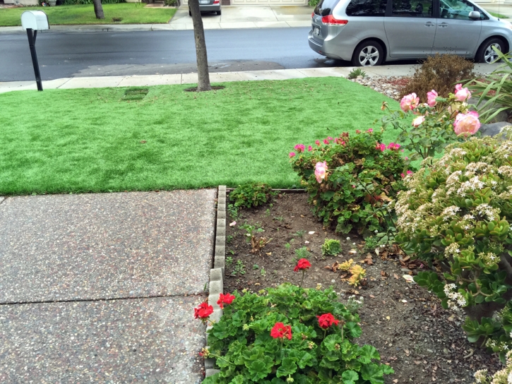 Synthetic Lawn Alum Rock, California Drainage, Small Front Yard Landscaping