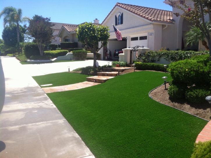 Synthetic Lawn August, California Garden Ideas, Front Yard